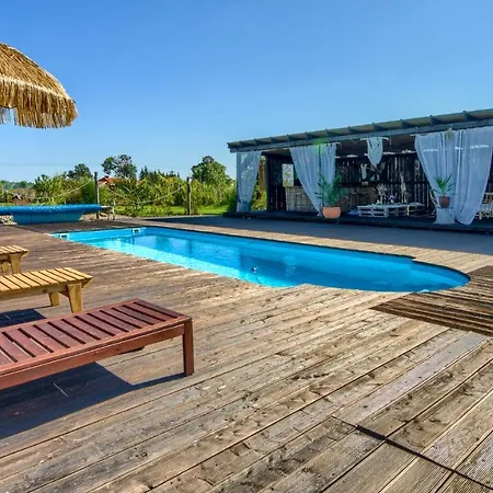 Pod Mazurskim Niebem Loft 佩茨基