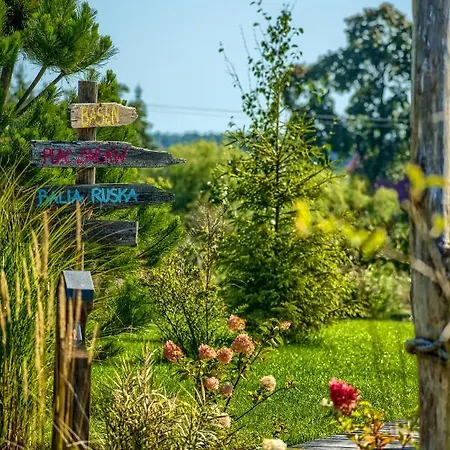 Pod Mazurskim Niebem Loft *