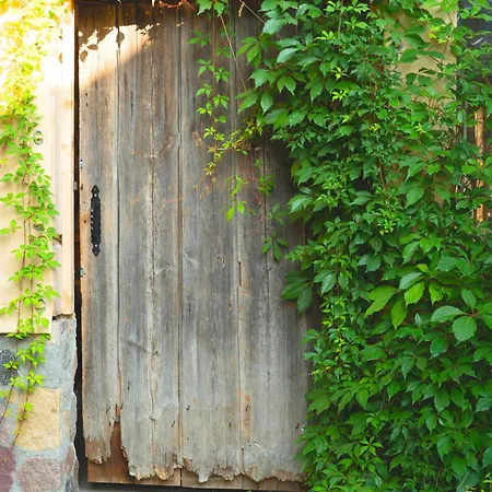 Willa Pod Mazurskim Niebem Loft Piecki (Warmian-Masurian)